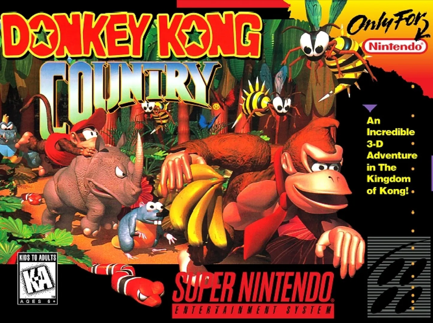 Donkey Kong Country